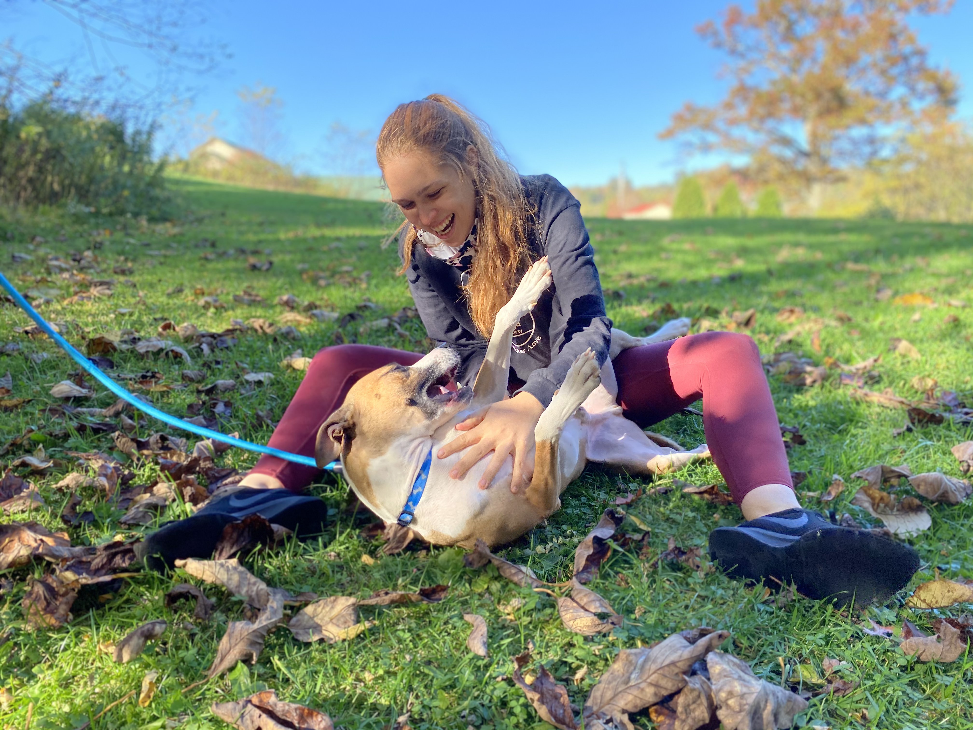 Prepare Fido for Post Pandemic Life